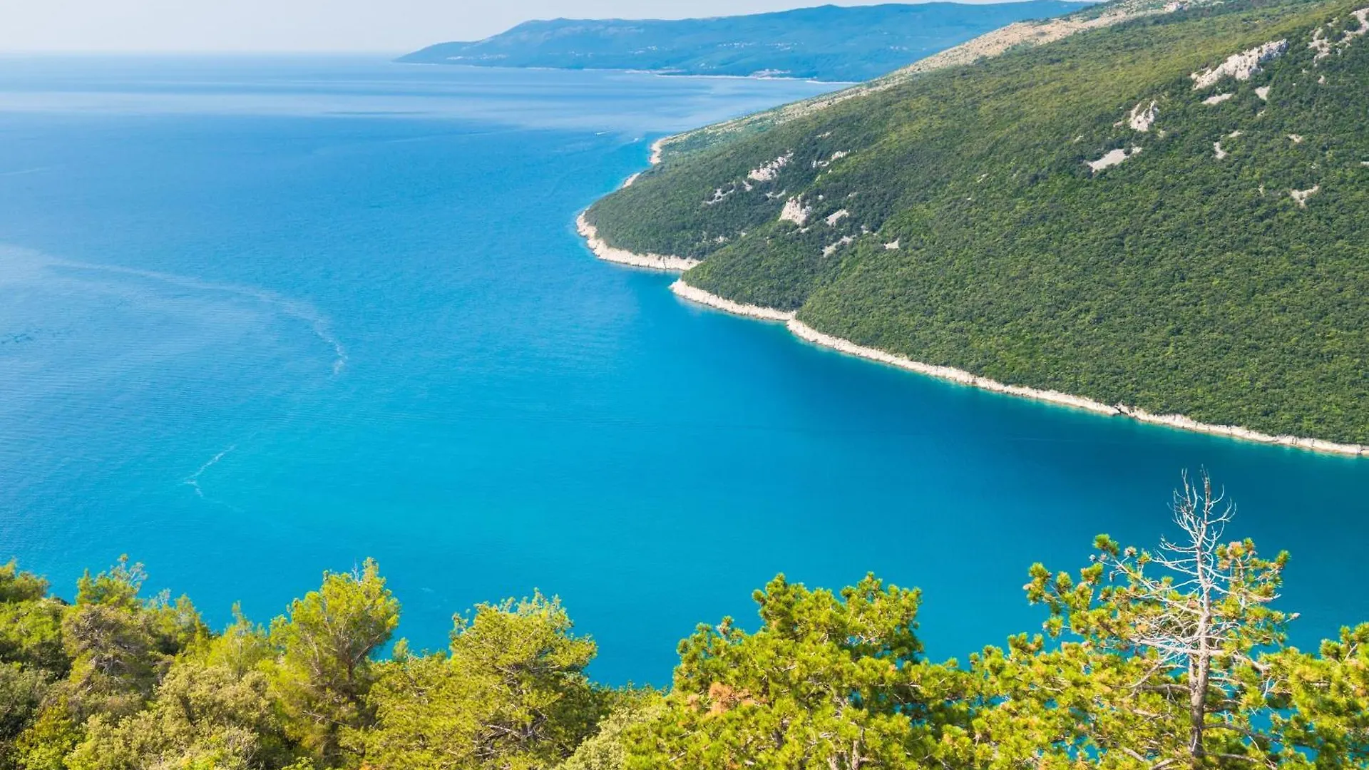 Apartment Seafront Villa Andrijana - Happy Rentals Plomin Croatia